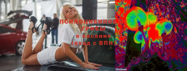 ПСИЛОЦИБИНОВЫЕ ГРИБЫ Абинск