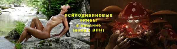 соль ск Алексеевка