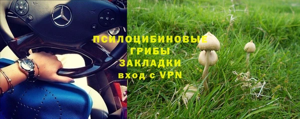гашик Алзамай