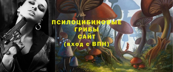 соль ск Алексеевка