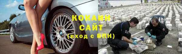 гашик Алзамай